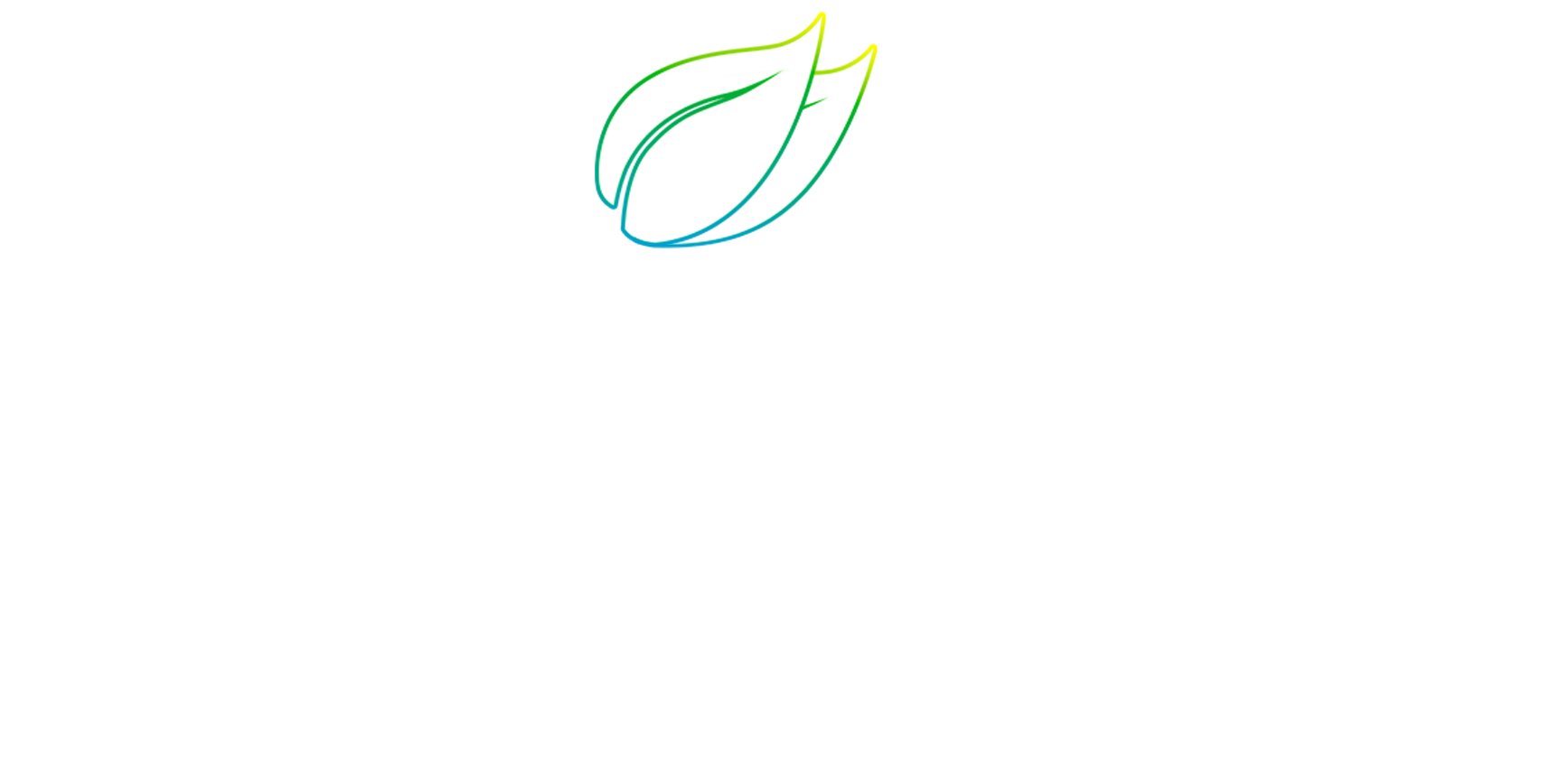 Mint Media Logo