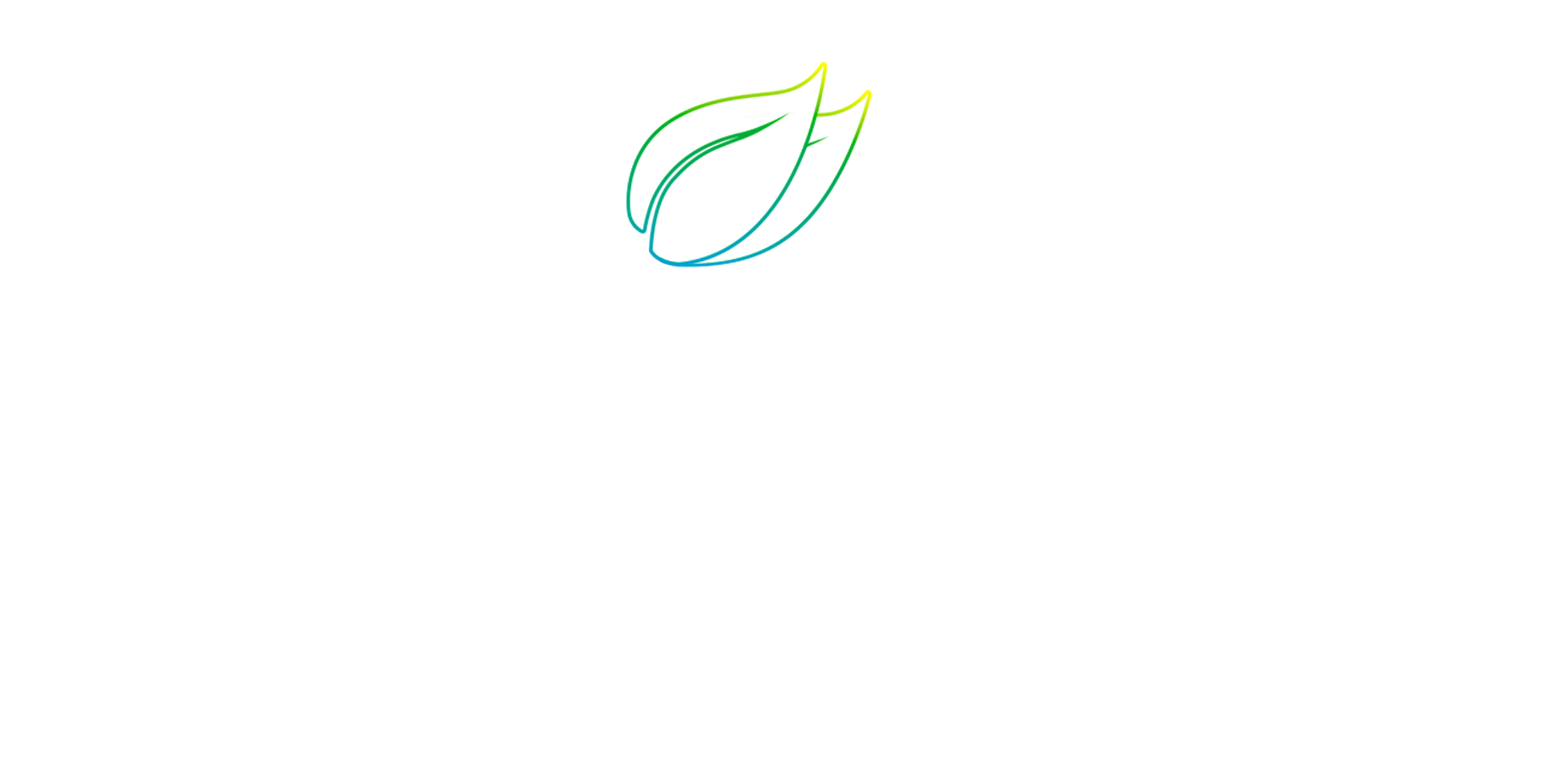 Mint Media Logo